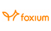 Foxium Casino Game Provider